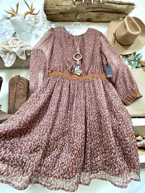 Dex Dresses & Skirts - Prairie vibe boho dress w semi sheer exaggerated ballon sleeves shabby chic feel
